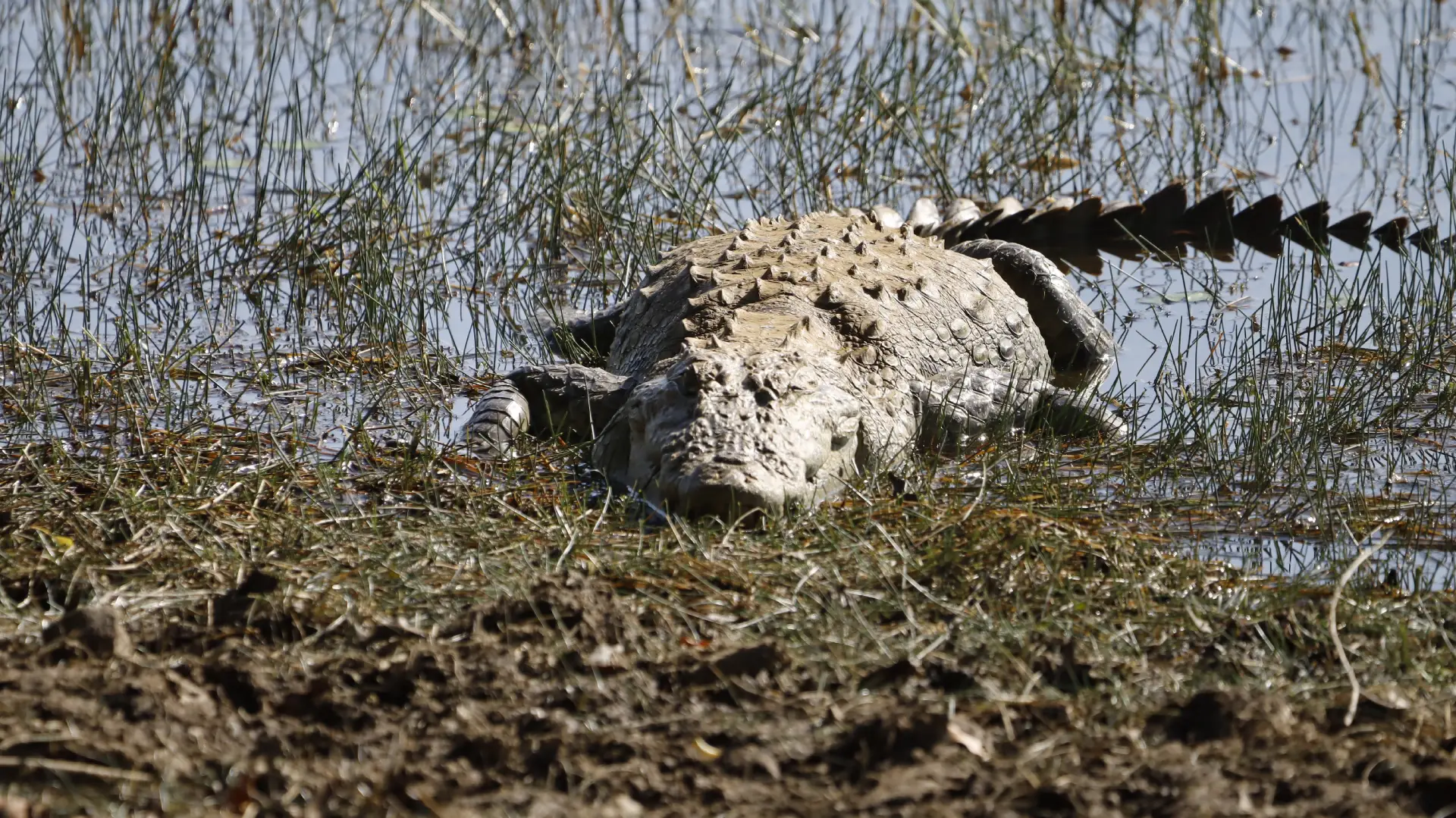 Places to Visit Near Tadoba – Lakes, Viewpoints & Cultural Spots