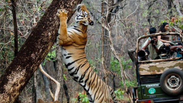 WhatsApp Image 2025-10-15 at 4.40.24 PM