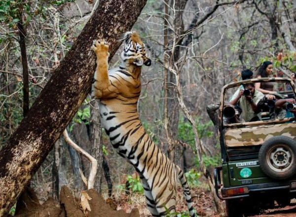 WhatsApp Image 2025-10-15 at 4.40.24 PM