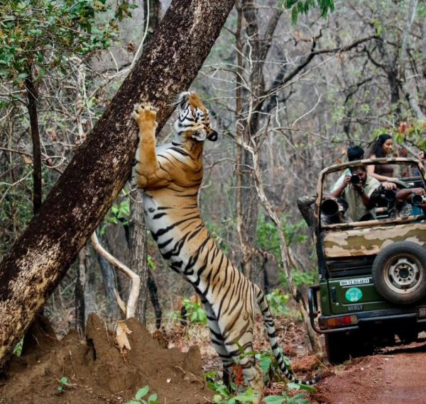 WhatsApp Image 2025-10-15 at 4.40.24 PM